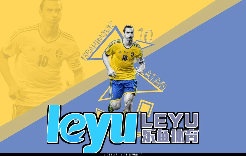 乐鱼leyu官网数据分析