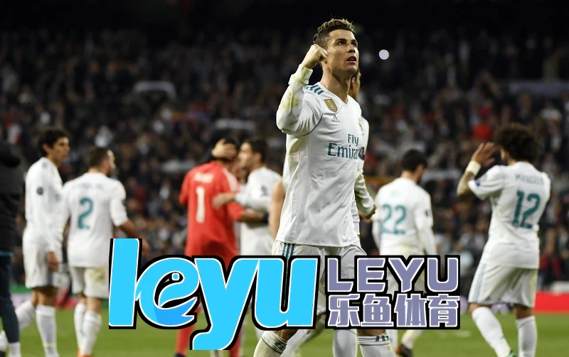 leyu・乐鱼(中国)体育官网平台功能模块结构示意