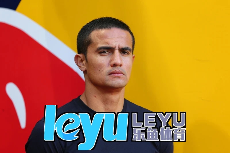 leyu.com乐鱼官网智能算法示意图