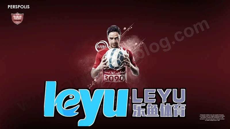leyu乐鱼体育在线未来规划图片