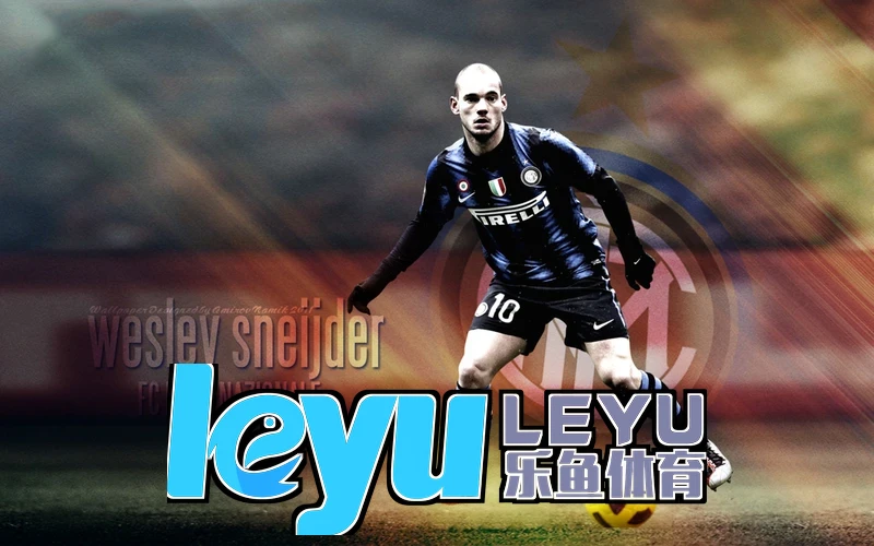 乐鱼leyu登录入口相关图片，展示AI驱动的智能服务