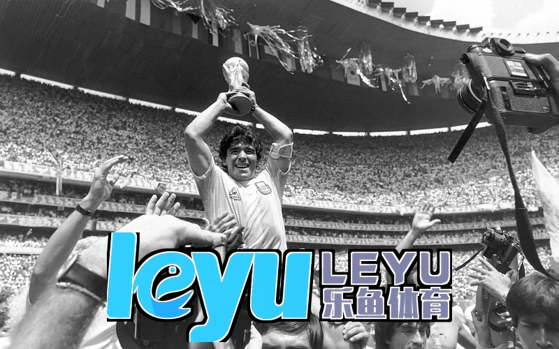 leyu乐鱼手机版下载最新版后台联网示意
