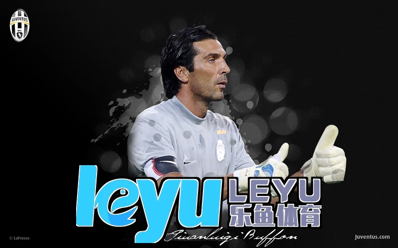 乐鱼Leyu·体育官网智能化解决方案展示