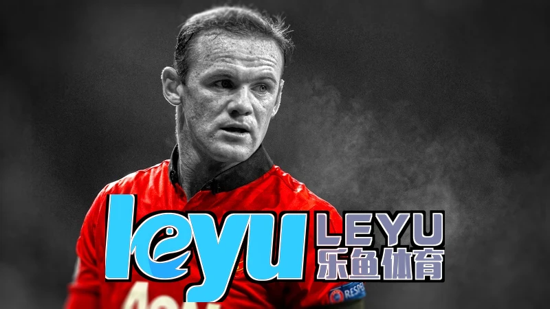 leyu乐鱼手机版下载最新版隐私泄露风险示意