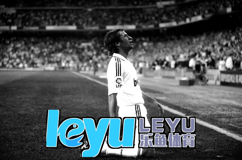 leyu乐鱼官方版高响应控制示意