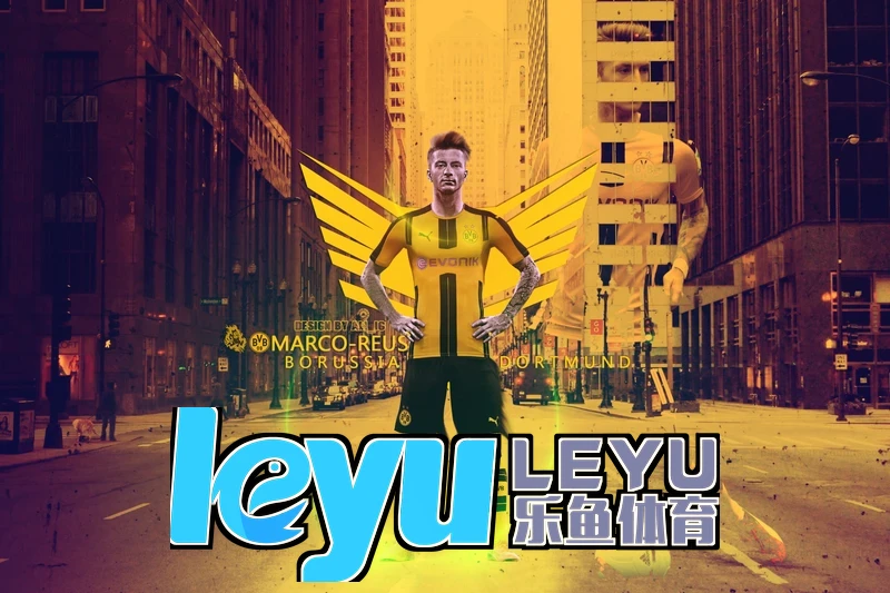 leyu乐鱼网页登录异常排查流程参考图