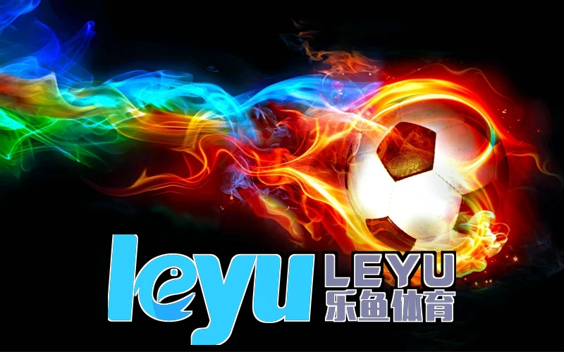 乐鱼・体育app全站下载功能介绍