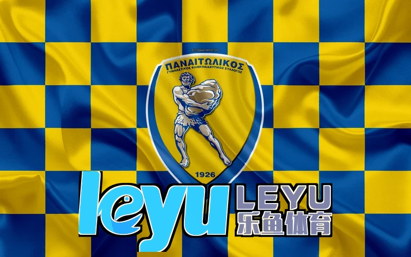 leyu乐鱼网页登录未来展望