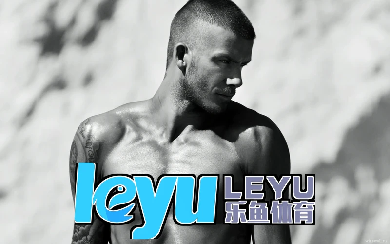乐鱼leyu体育相关图片