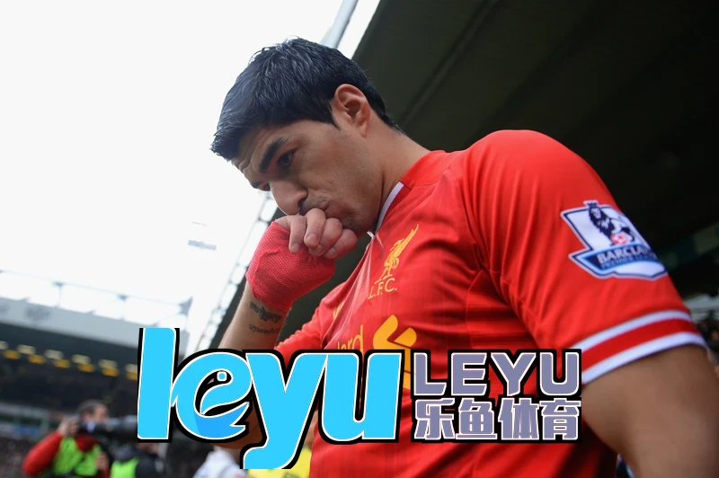 乐鱼Leyu·体育(中国)智能语音解说界面展示