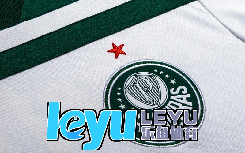 乐鱼leyu官网登录游戏截图
