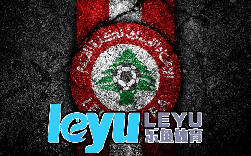 leyucom·乐鱼手机版基础操作界面