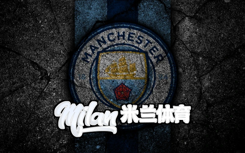 米兰·(milan)体育官网,米兰·(milan)中国产业链协同