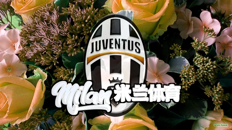 米兰(milan)体育-米兰官方网站-MilanSport充电收纳盒与配件展示