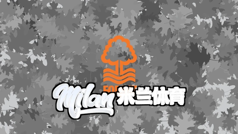 用户反馈