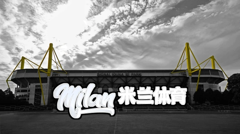 贝博app下载艾弗森相关图片