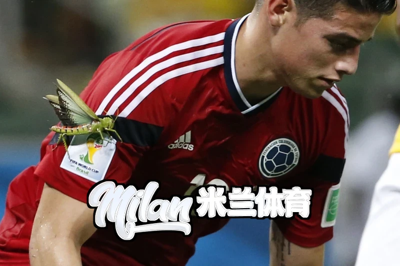 米兰·(milan)中国官方网站米兰·(milan)相关图片