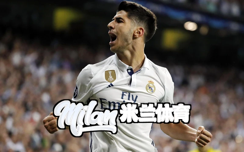 米兰milan体育app下载相关图片