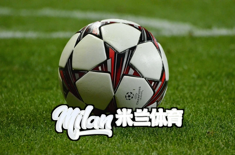 米兰·(milan)中国官方网站米兰办理流程与节点展示界面