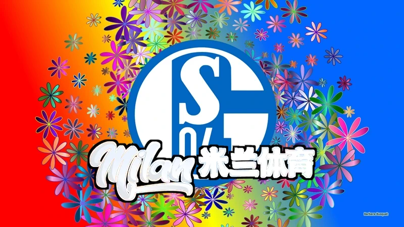 实时数据+智能预测+多端同步：k1体育官方网站app打造沉浸式赛事体验神器