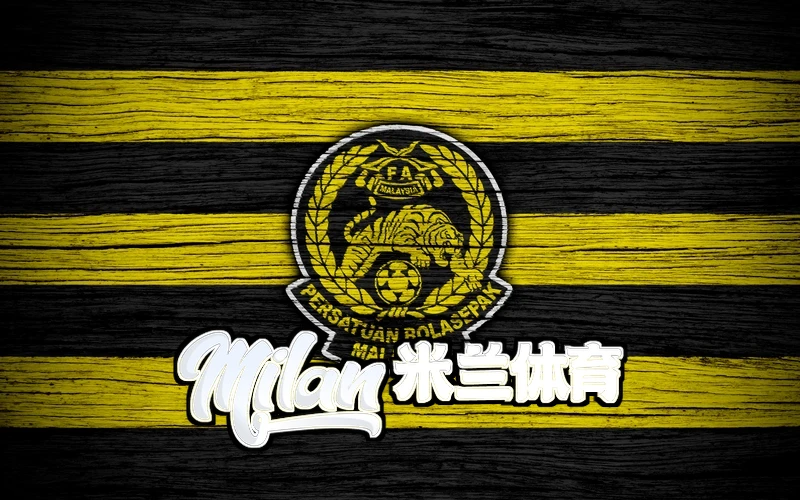 米兰(milan)体育-米兰官方网站-MilanSport佩戴效果