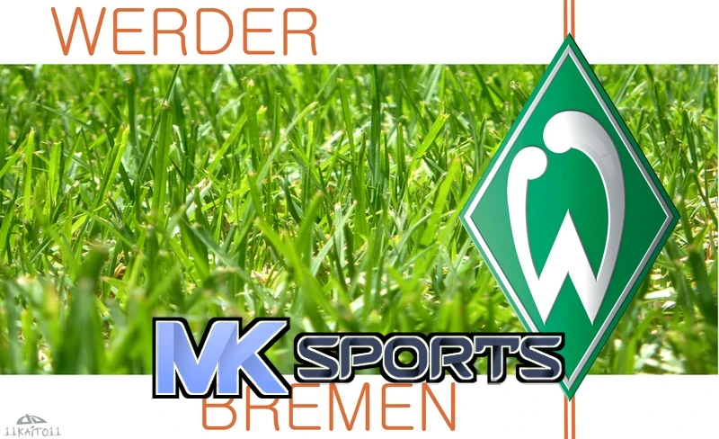 MK(Mksport)体育内容生态引爆品牌互动