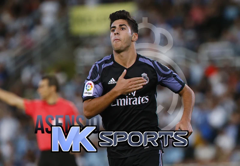 MK·sports登录首页相关图片