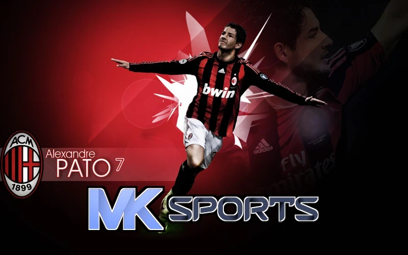 mksport体育在线官网未来数字化生态展望
