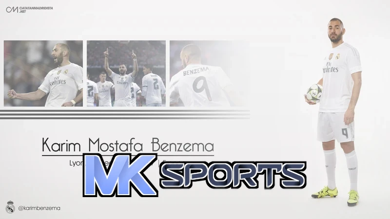 MK体育(MkSports)赛事内容与分类展示示意