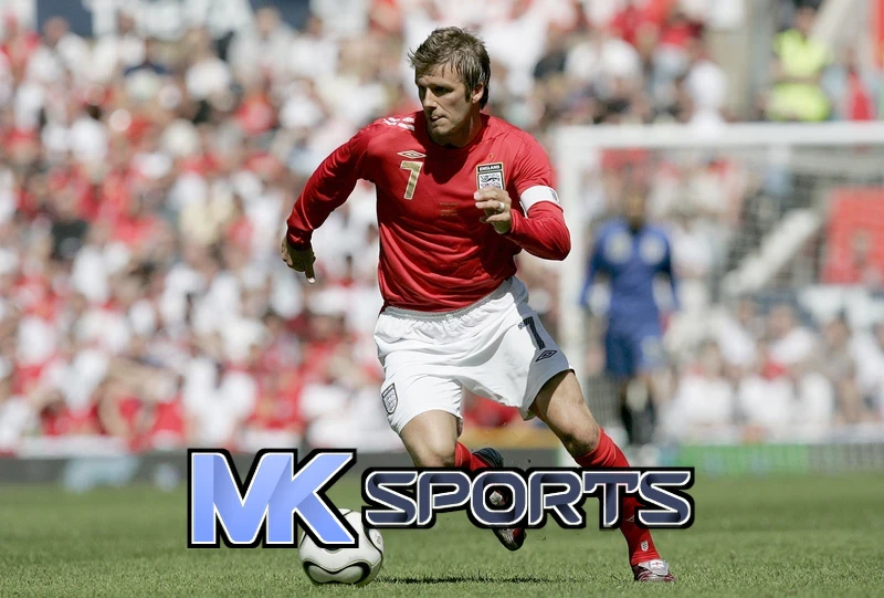 Mksport体育app官网入口相关图片