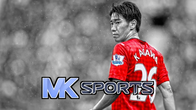 Mksport体育app官网入口相关图片