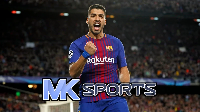 Mksport体育app官网入口相关图片