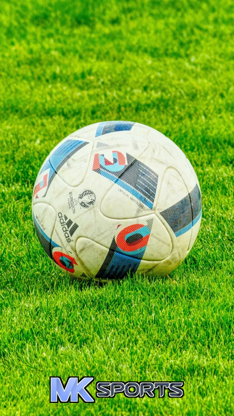 MK体育(MkSports)相关图片