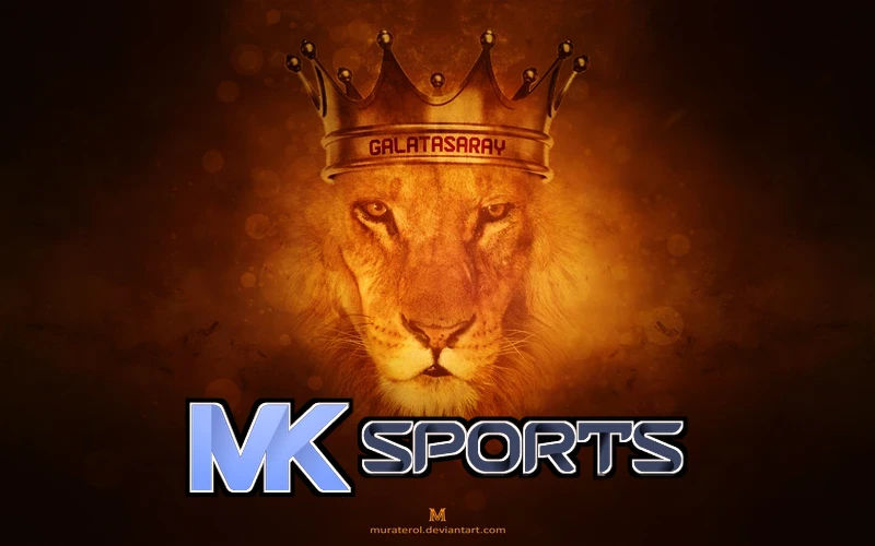 MK体育在线登录入口总结