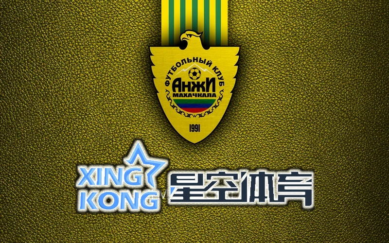 星空app官方正版入口网站下载校验流程与分发链路配图