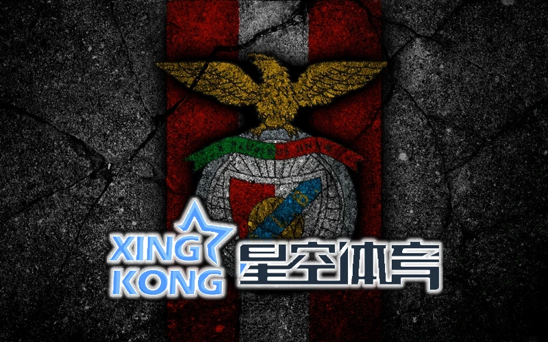 星空体育相关图像