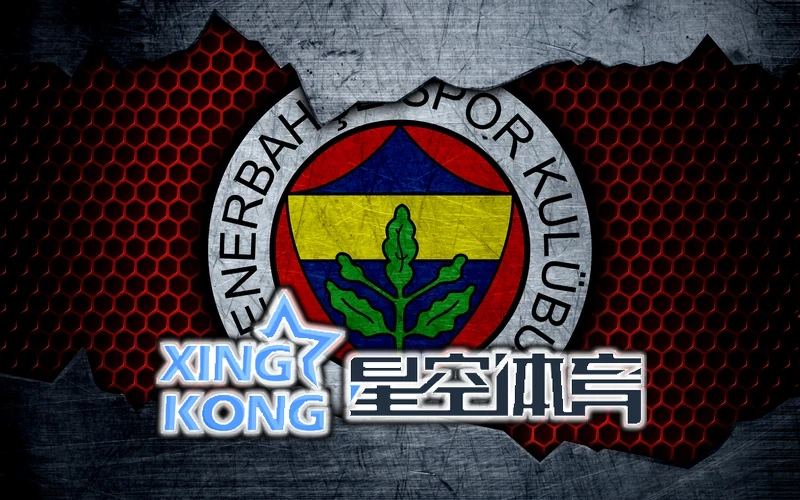 星空(xingkong)体育·(中国)手机体育官方相关图片