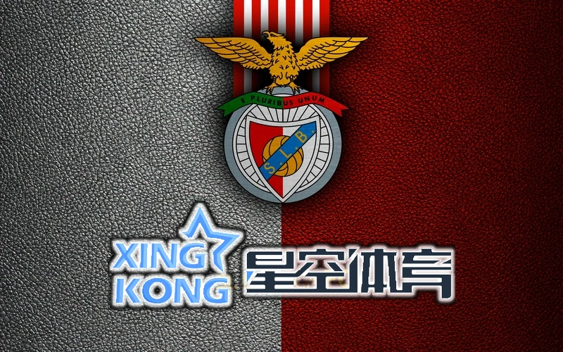 星空综合体育APP官方下载相关图片
