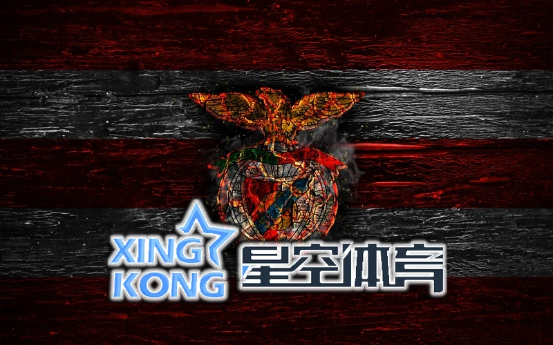 星空・体育综合app下载官相关图片