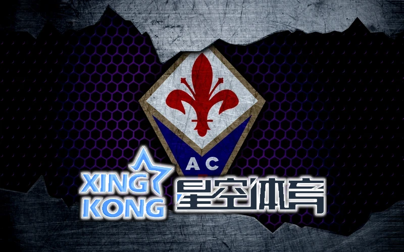 星空体育官网入口app移动端交互界面示意