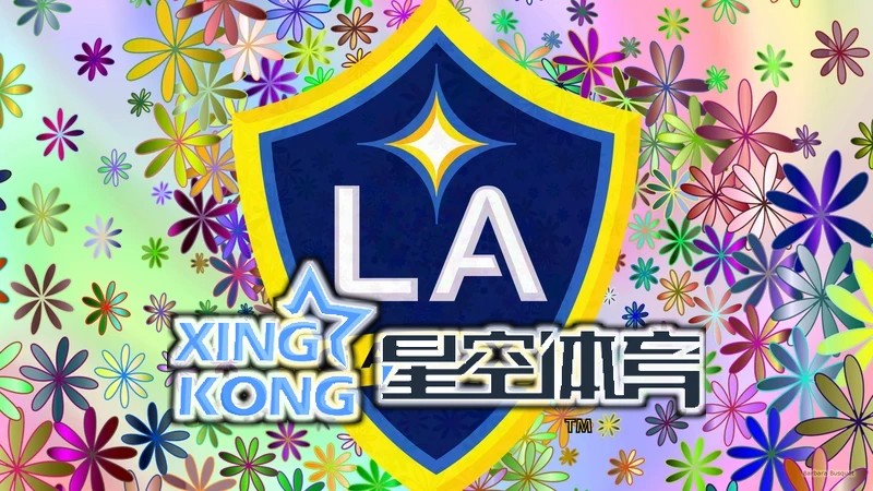 星空娱乐相关图片