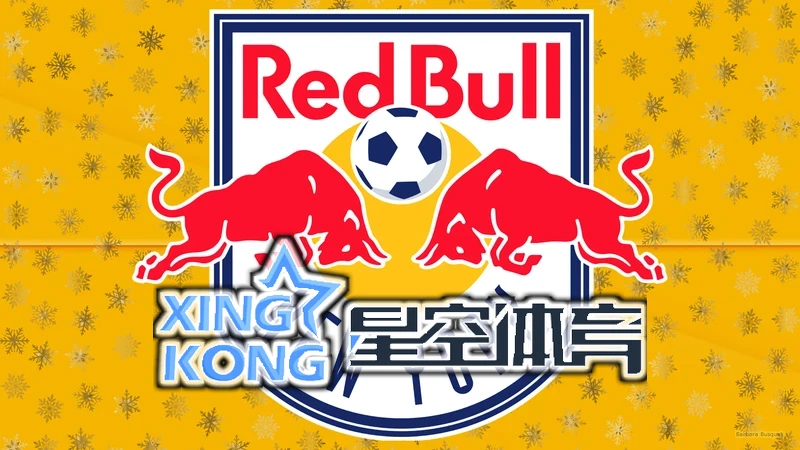 星空官网登录官网首页全新登录界面