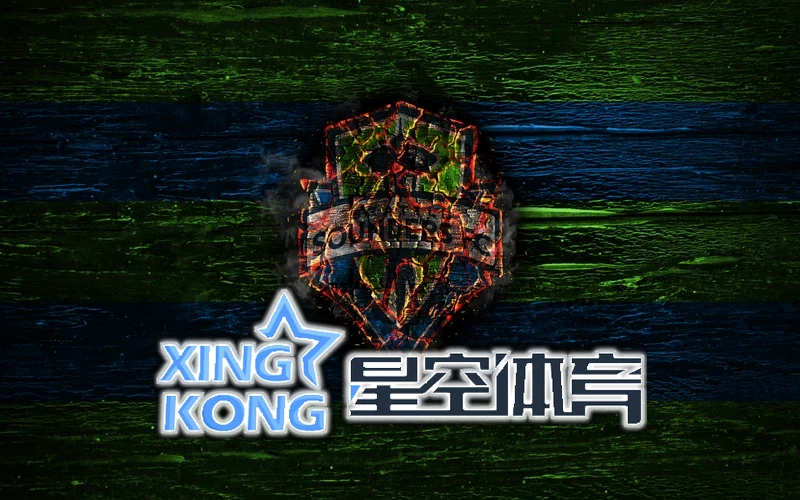 星空·体育综合app登录入口技术白皮书封面及认证标识