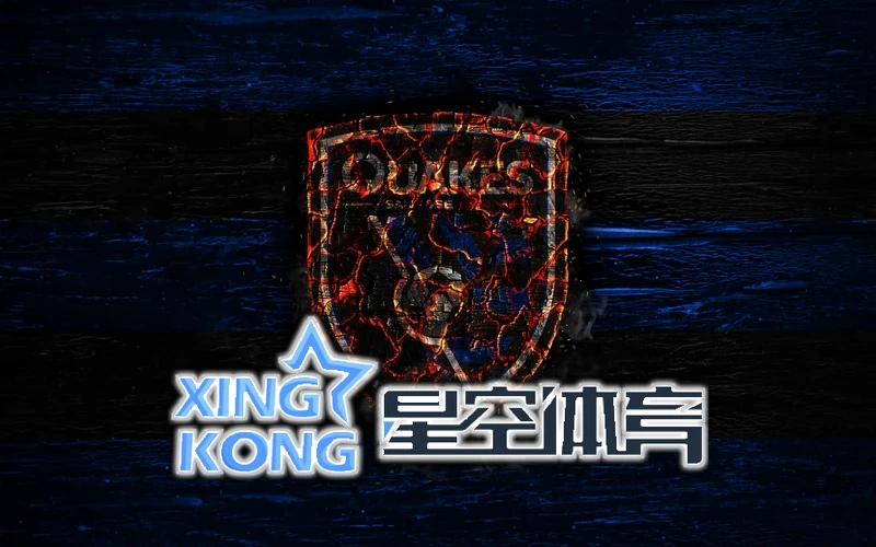 星空・体育综合app下载官方网站相关图片