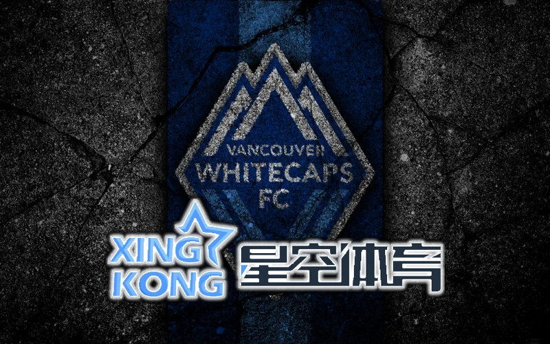 星空网页版2026相关图片