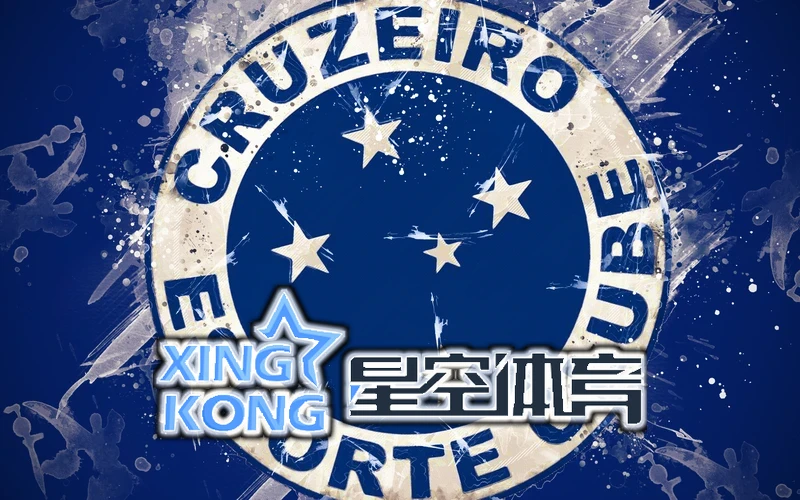 星空・体育综合app下载官方网站功能模块示意图