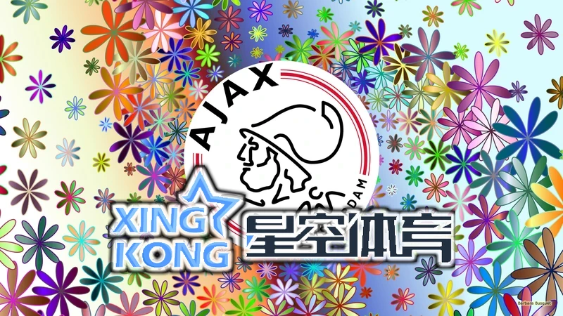 星空·体育网页版登录入口相关图片