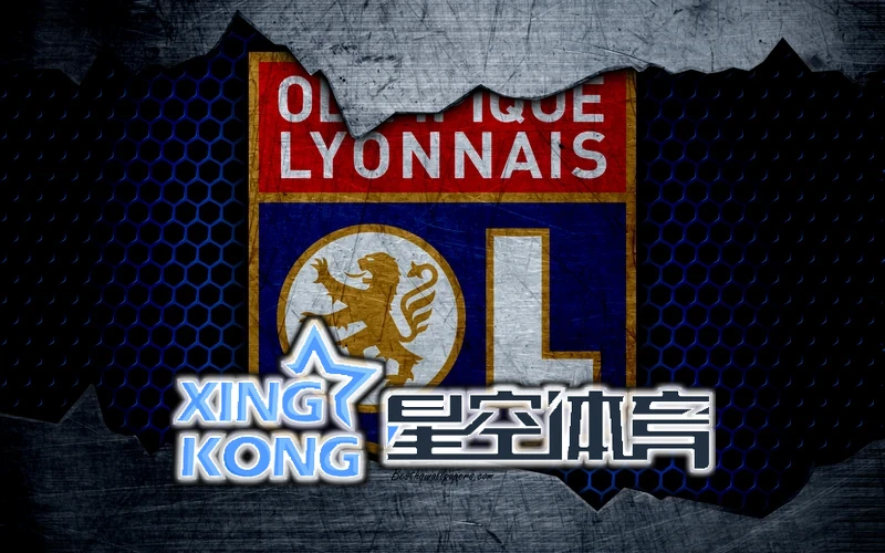 星空官网APP入口相关图片