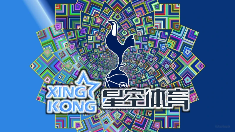 星空・体育综合app下载官网实力保障,畅享专业体育服务
