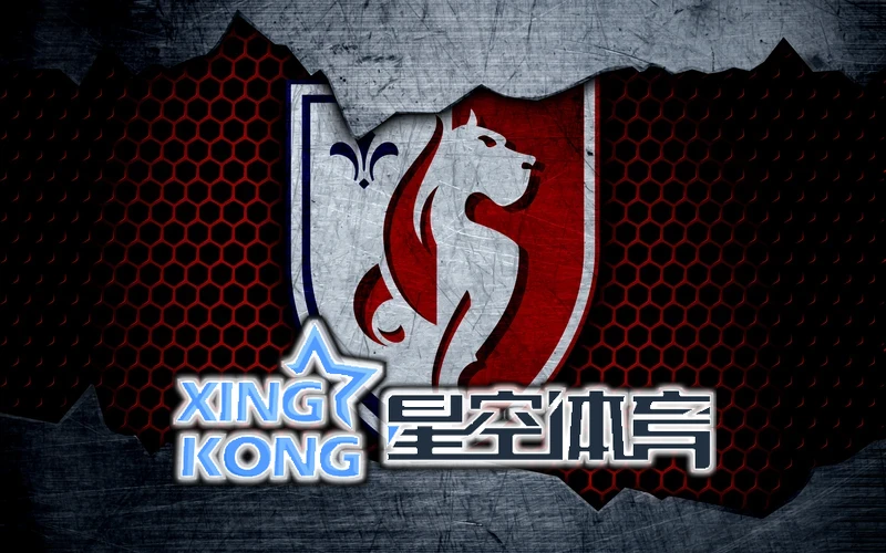 星空(xingkong)体育·(中国)手机体育官方陪伴节日团聚与美好记忆